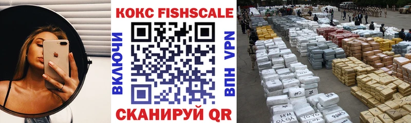 где можно купить   Городище  КОКАИН FishScale 
