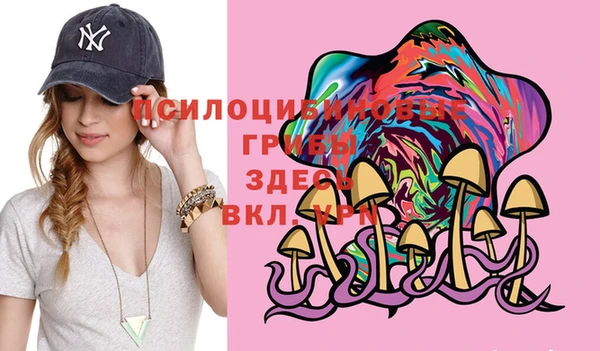 мет Богородицк