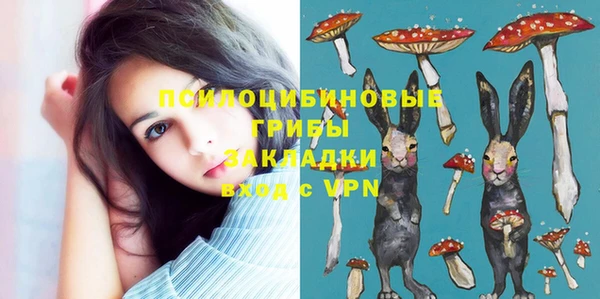 первитин Богородск