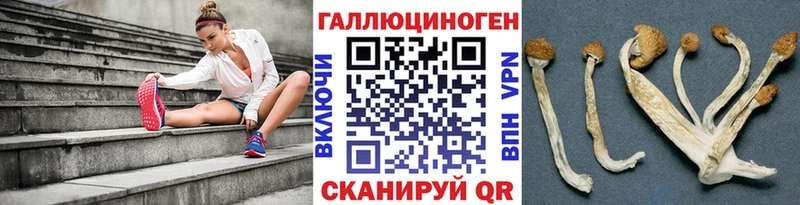 Псилоцибиновые грибы GOLDEN TEACHER  площадка формула  Городище 